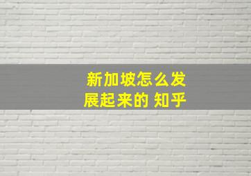 新加坡怎么发展起来的 知乎